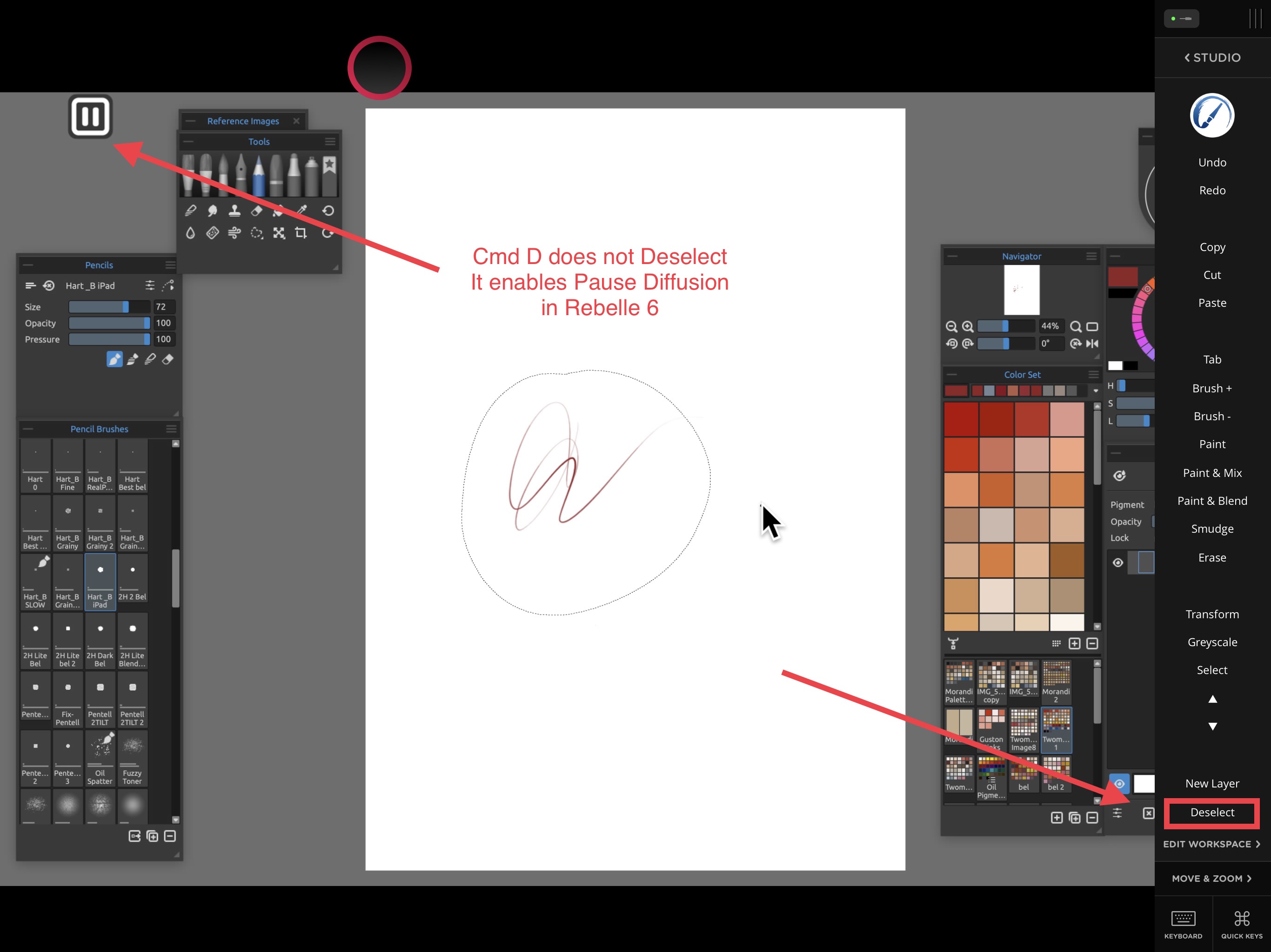 Question for users of Rebelle with Astropad Studio Supp