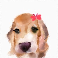 Vancantdraw