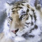 Rebelle gallery image