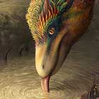 Rebelle gallery image