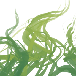 Algae