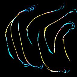 Brush-405-Panengh