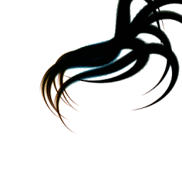 Brush-423-Panengh