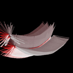 Brush+12+2
