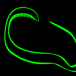 Four-green-lines-21