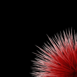 Grass-11PP