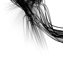 Hair-004-Paanengh
