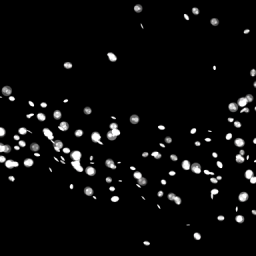 Light+Sparks