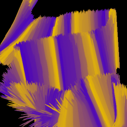 Lino+Jitter-22