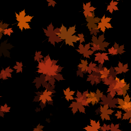 Maple+Leaves
