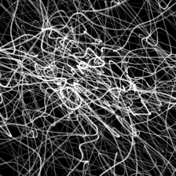 Noise+Web