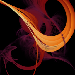 Orchi-newe-3-pp3
