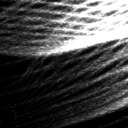 Space+Noise