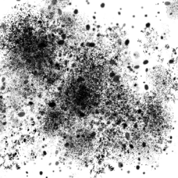 Sponge & Splatter