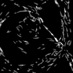 Swarm