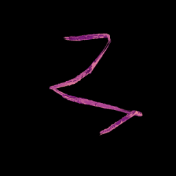Three-beauty-33