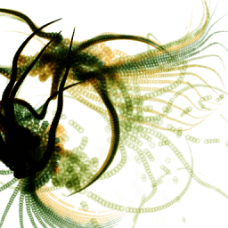 Wild-creature-02-Panengh