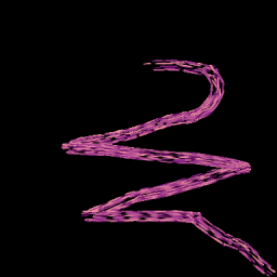 Www-loop